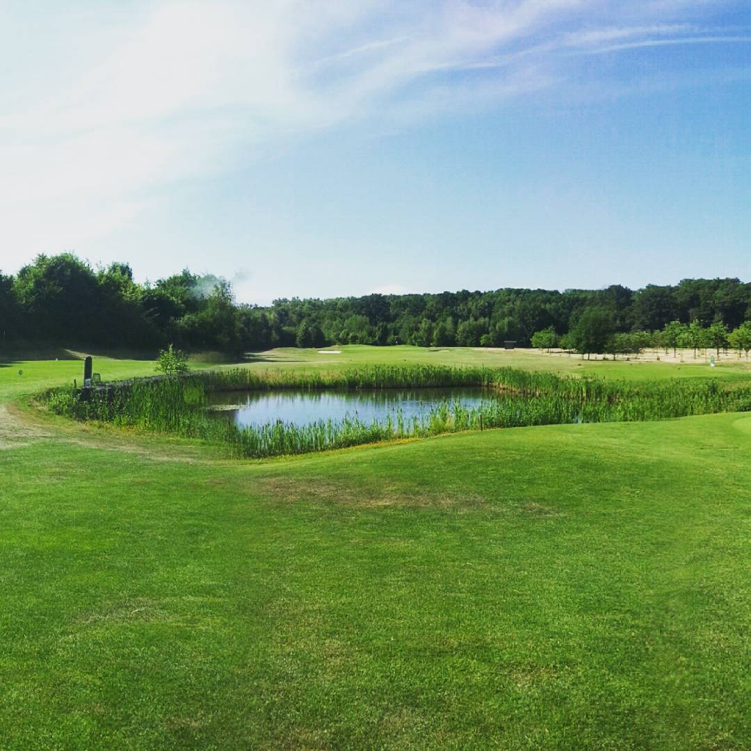 Golfplatz Teil 3
