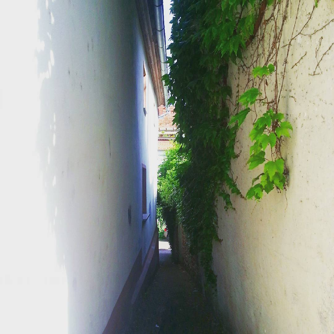 Die Straßen in der Seligenstädter Altstadt sind meistens sehr schmal. Diese kleine Gasse hier, stellt aber vermutlich einen Rekord dar, was die Enge betrifft. Ich habe mich nicht mal getraut, mit dem Fahrrad durch zu fahren 🙈 (zu Fuß geht es