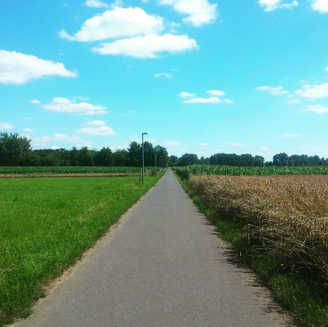 Der Radweg von Seligenstadt nach Zellhausen ist nicht nur ein häufig genutzter Schulweg, sondern auch ein hübscher Ort für einen Spaziergang