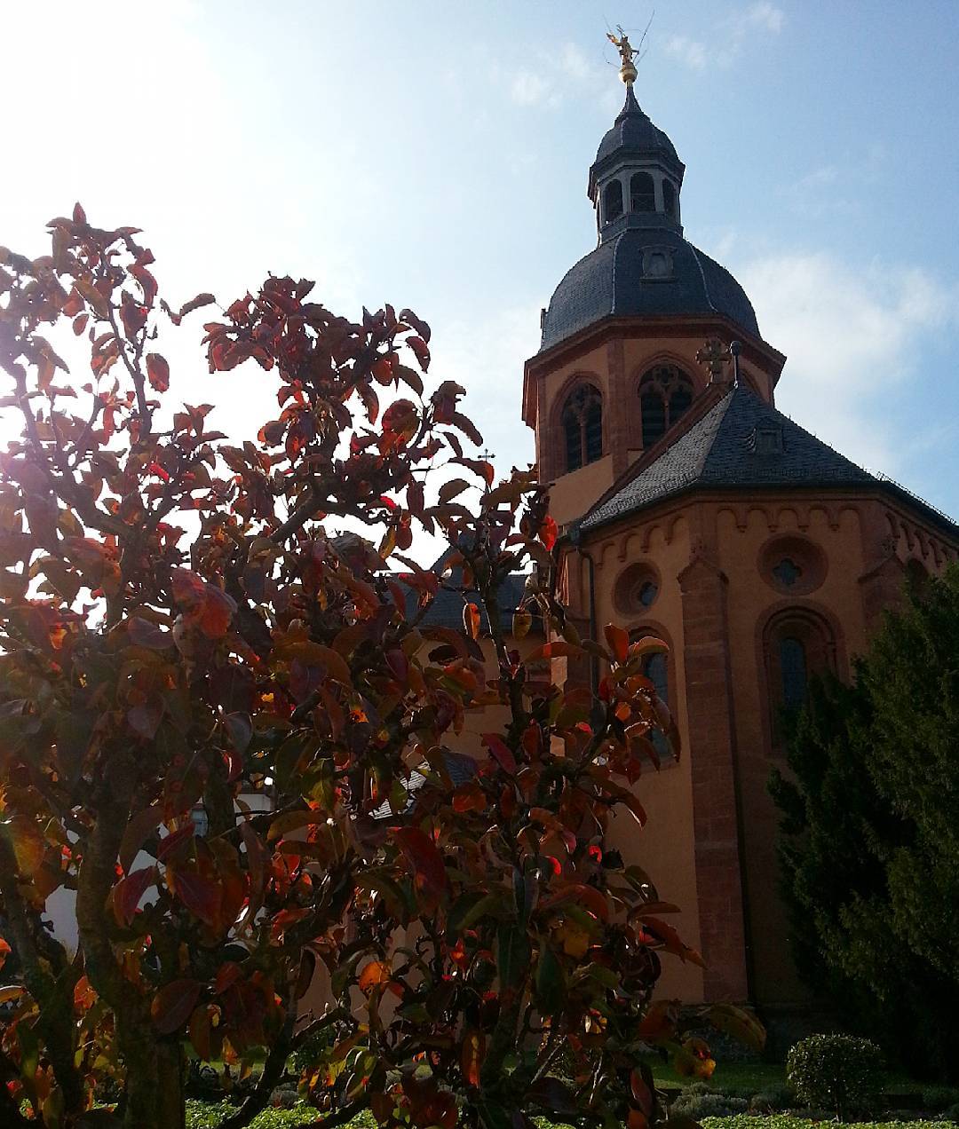Herbst ist, wenn im Konventgarten die Zierpflanzen ihre Farbe ändern