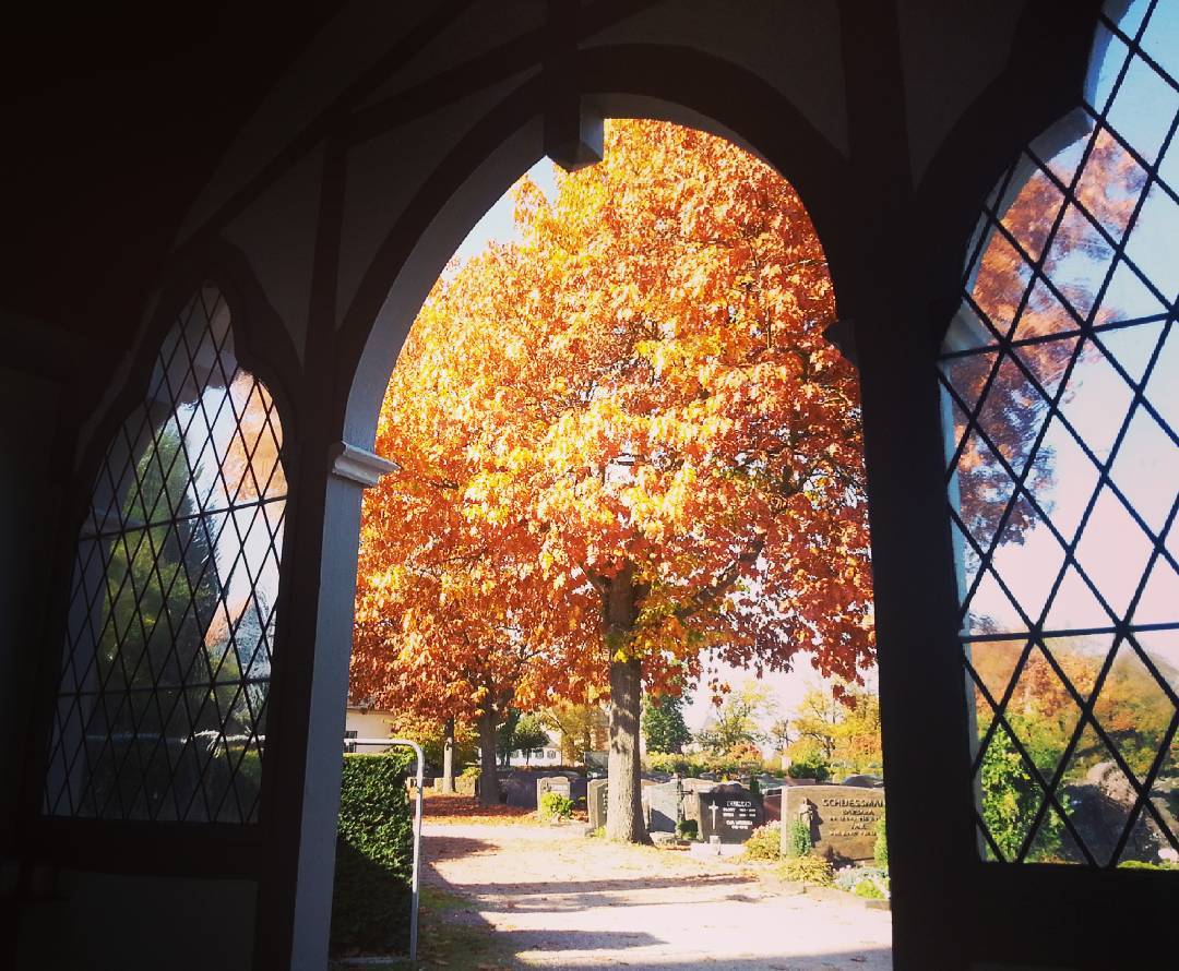 Herbst auf dem Friedhof in Seligenstadt