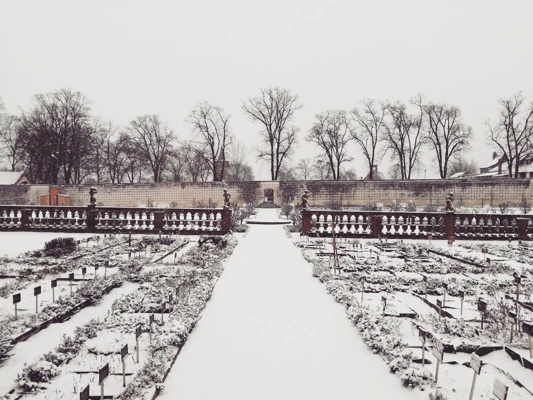 Ein Eindruck aus dem verschneiten Klostergarten vom vergangenen Sonntag