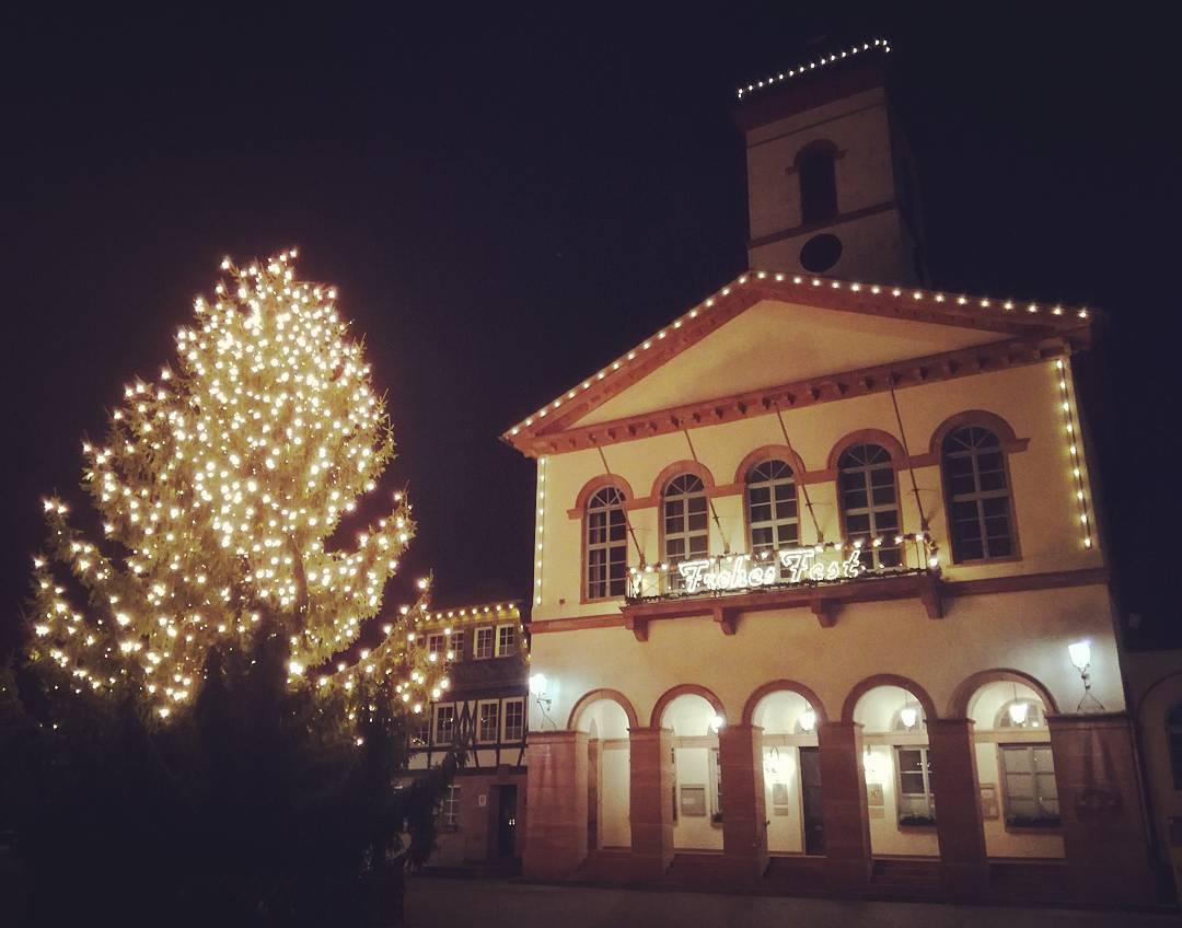 Zum ersten Weihnachtsfeiertag gibt es ein weiteres Bild vom Weihnachtsbaum vor dem Rathaus