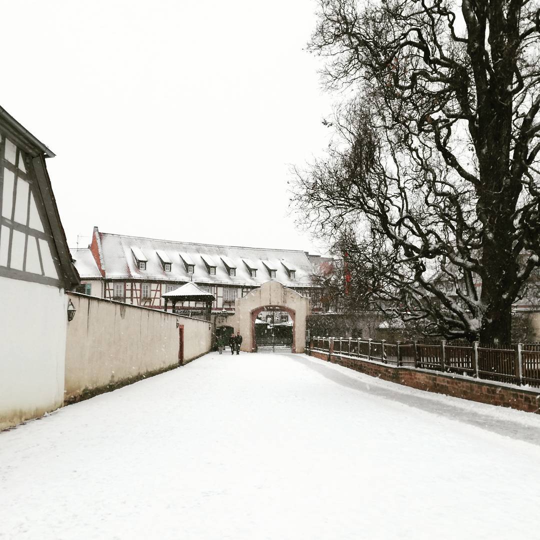 An einem der wenigen Tage im Dezember, an denen es in Seligenstadt geschneit hat, ist dieses Foto entstanden