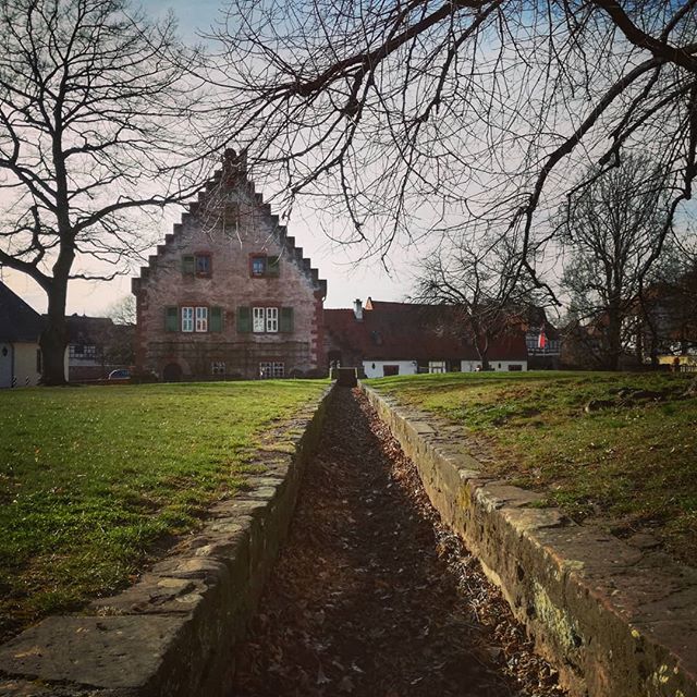 Ich warte auf den Frühling… jede Woche gehe ich mehrmals durch den Klostergarten und hoffe, die ersten Knospen, Blüten oder grünen Triebe fotografieren zu können, bisher hatte ich dabei wenig Glück