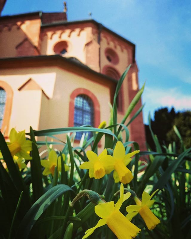 Der Frühling ist da! Im Klostergarten hinter der Basilika