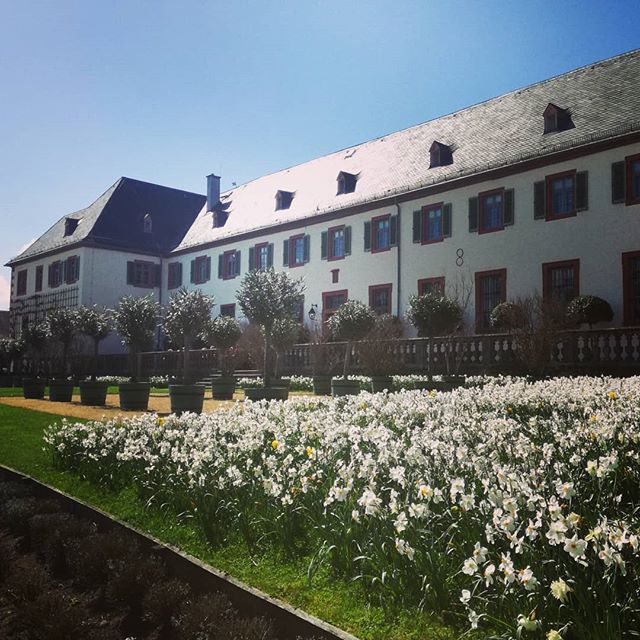 Klostergarten mit Blick auf das Klostercafé und weißen Narzissen