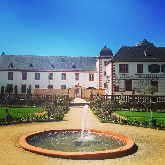Der Brunnen im Klostergarten wird von vielen als Wunschbrunnen genutzt. Seit ich denken kann, liegen immer Münzen auf seinem Grund. Ich frage mich, was mit dem Geld geschieht… @schloesserundgaertenhessen