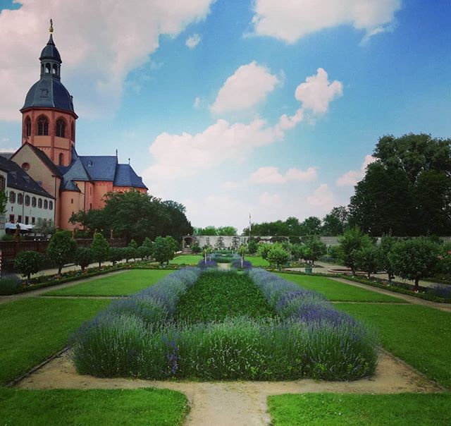 Lavendel im Klostergarten